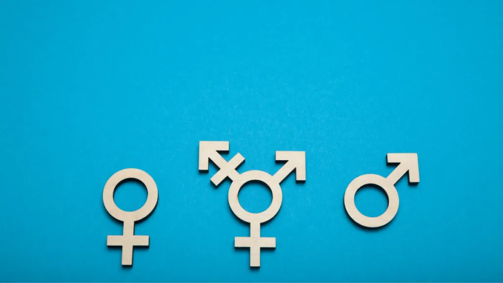 Bisexuality FAQs: Insightful Guide 1 Bisexuality FAQs